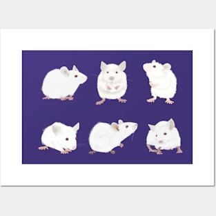 White Mice Posters and Art